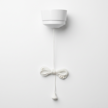 10AX 2 Way Ceiling Pull Cord Switch White | Elite Elegance